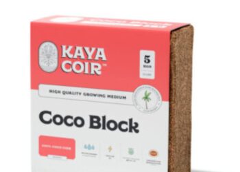 Coco Peat Block for Sale: What Should Growers Look For?