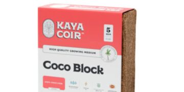 Coco Peat Block for Sale: What Should Growers Look For?